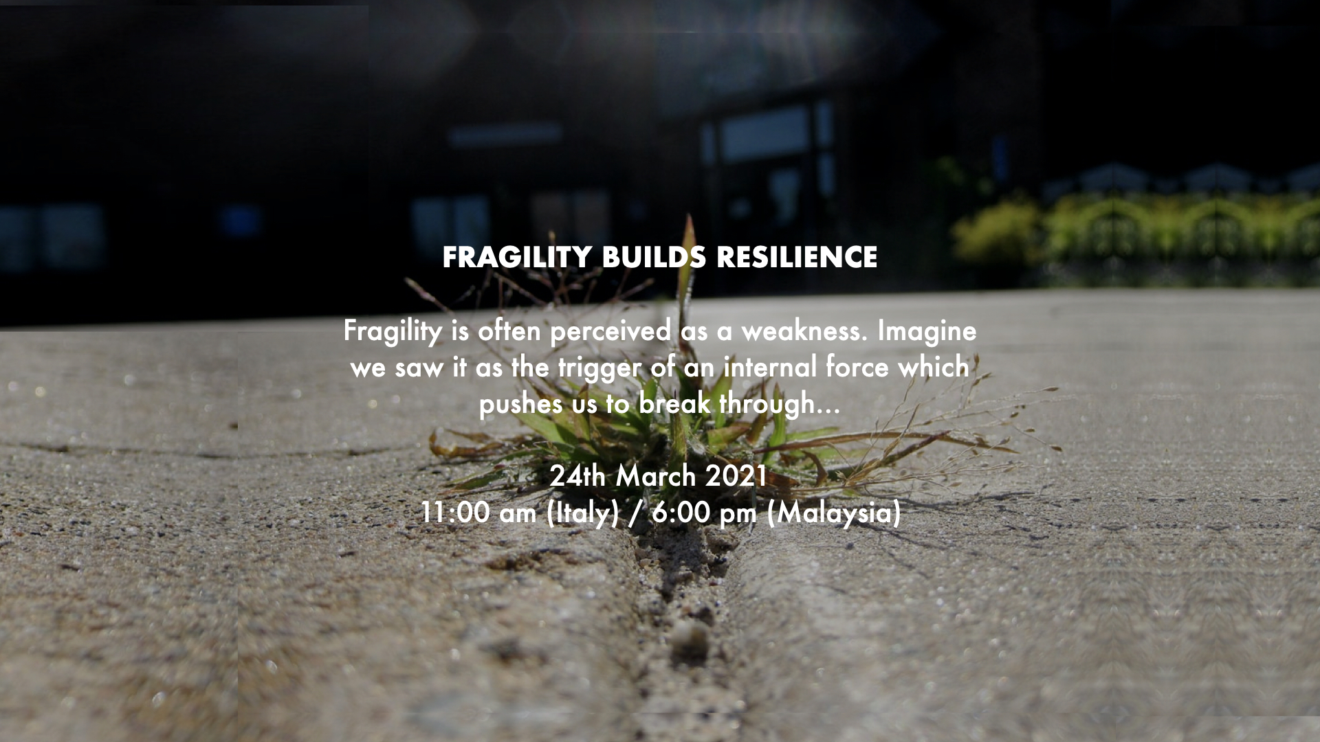 FRAGILITY BUILDS RESILIENCE - A Students' Diary #5